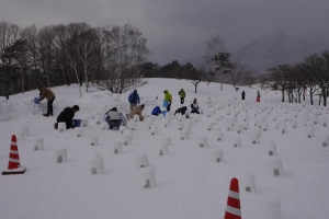 ひるぜん雪恋まつり