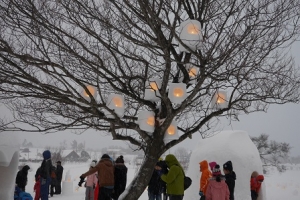 ひるぜん雪恋まつり