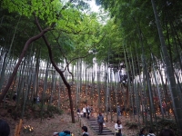 【イベント】4/7、第11回竹灯籠まつりが開催されました。