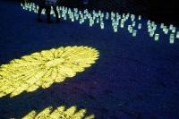 【イベント】4月5日～6日、明治神宮「昭憲皇太后百年祭」あかりイベントが開催されました