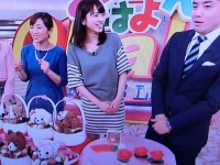 【メディア】5月6日（火）、日本テレビで、母の日「手作りバラキャンドルキット」が紹介されました