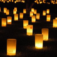 【イベント】8/5～奈良市にて「第27回なら燈花会」が開催されます